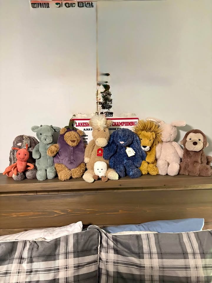 Jellycat Lot