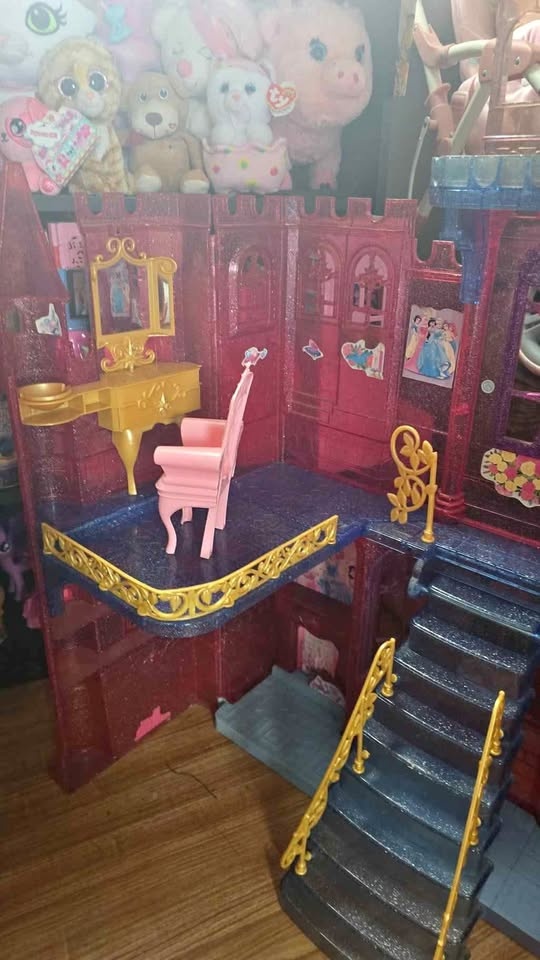 Disney Princess Castle