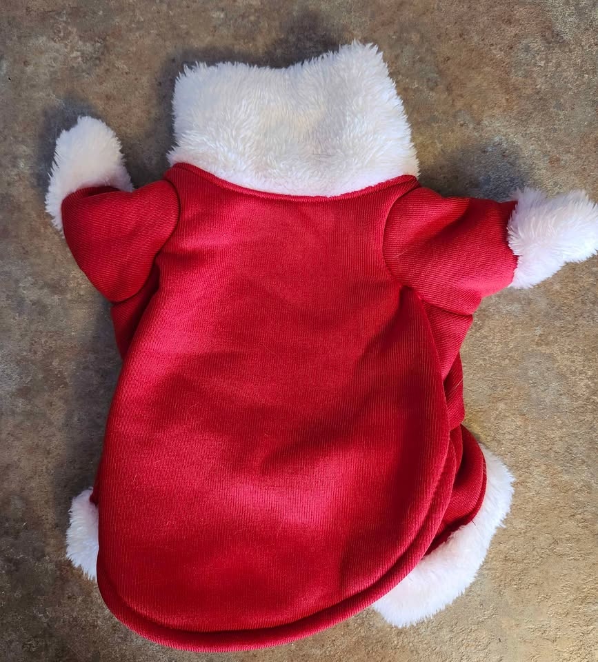 Small Pet Santa Claus Costume 🏆 - photo 2