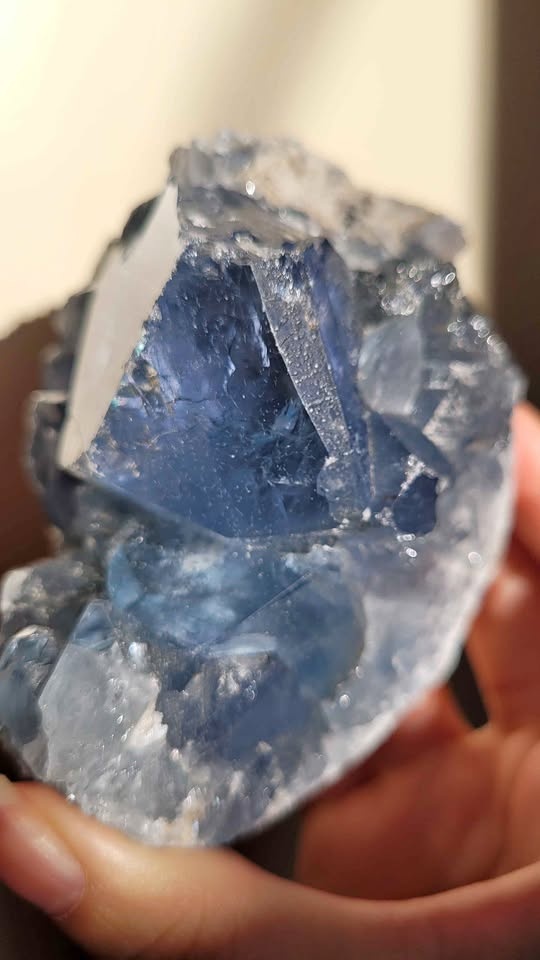 Dreamy! Celestite Geode