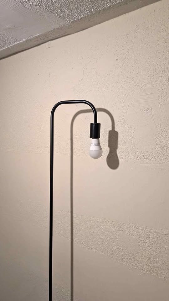 Floor lamp with round base