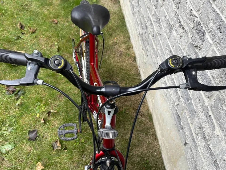 Girl’s Woman’s Mountain Bike - 15 Speed - Made in Canada image indicator(2)