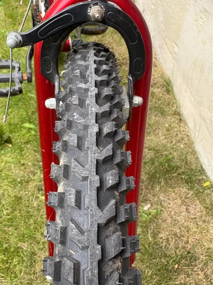 Girl’s Woman’s Mountain Bike - 15 Speed - Made in Canada image indicator(3)