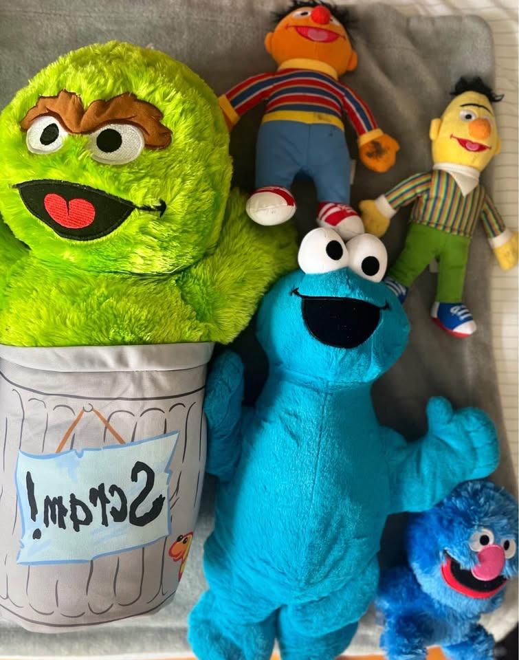 Sesame Street Stuffed Animals - photo 2