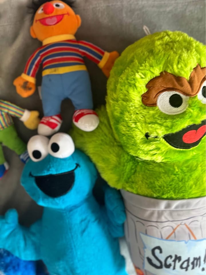 Sesame Street Stuffed Animals - photo 4