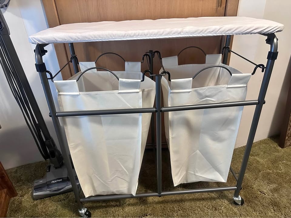 Laundry organizer on wheels