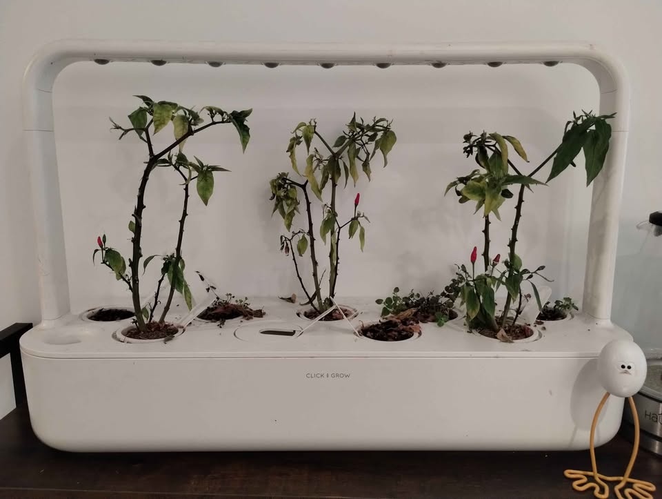 Click and grow smart garden 9 - photo 2