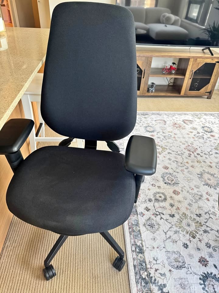Ergocentric Office Chair