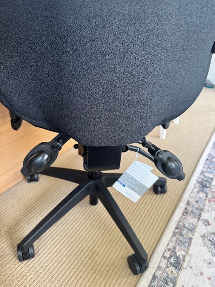 Ergocentric Office Chair - photo 3