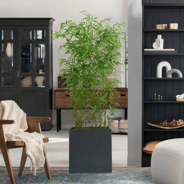 Faux Bamboo Room Divider 2.0 m (6.5 ft.) - photo 2
