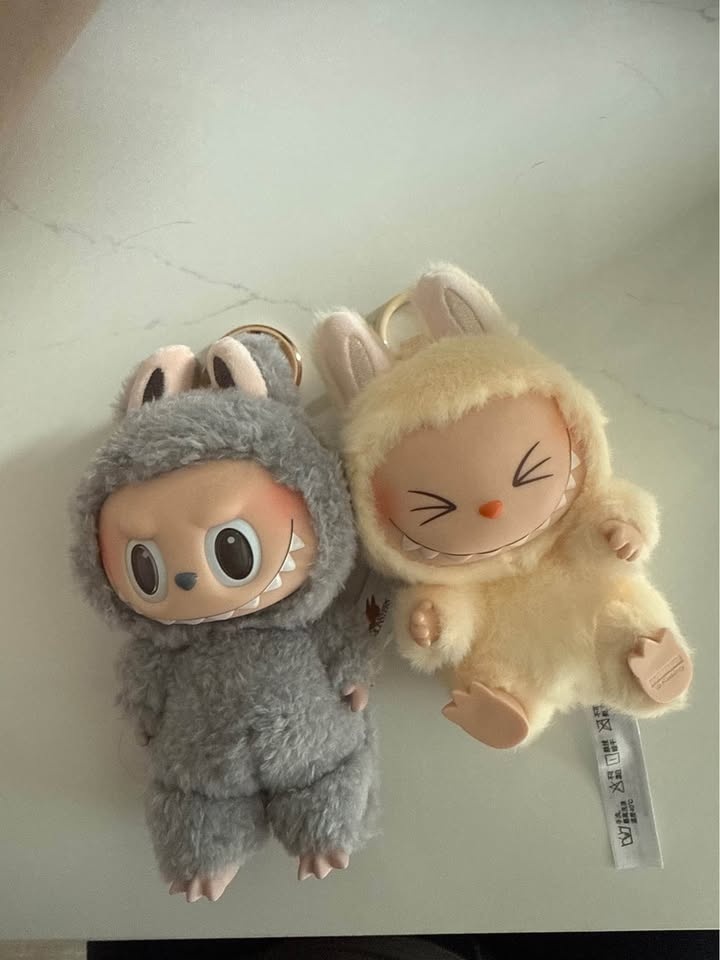Labubu (2 in total, 1 opened, 1 unopened) - photo 3