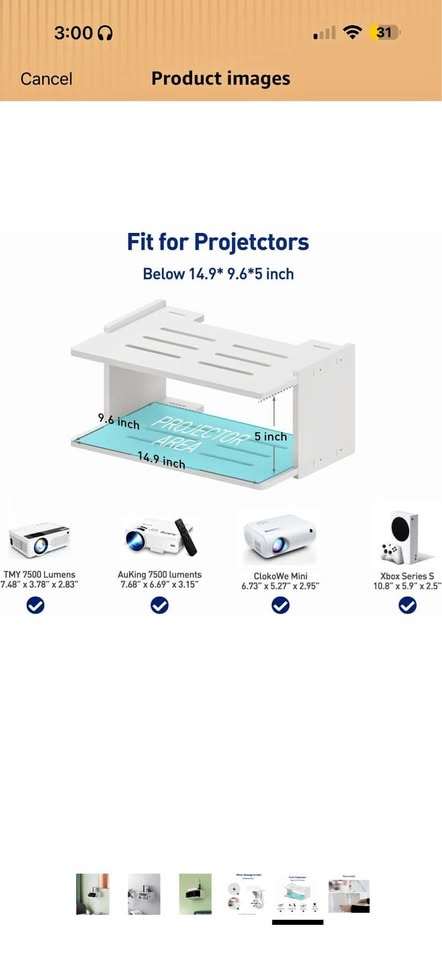 Projector shelf and mount