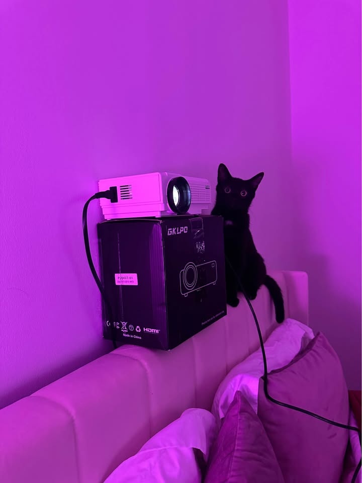 Projector - photo 2