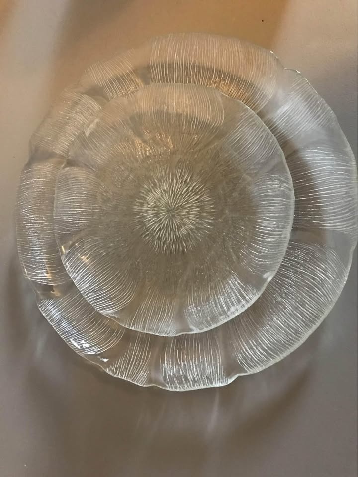 Glass plates $5 for both