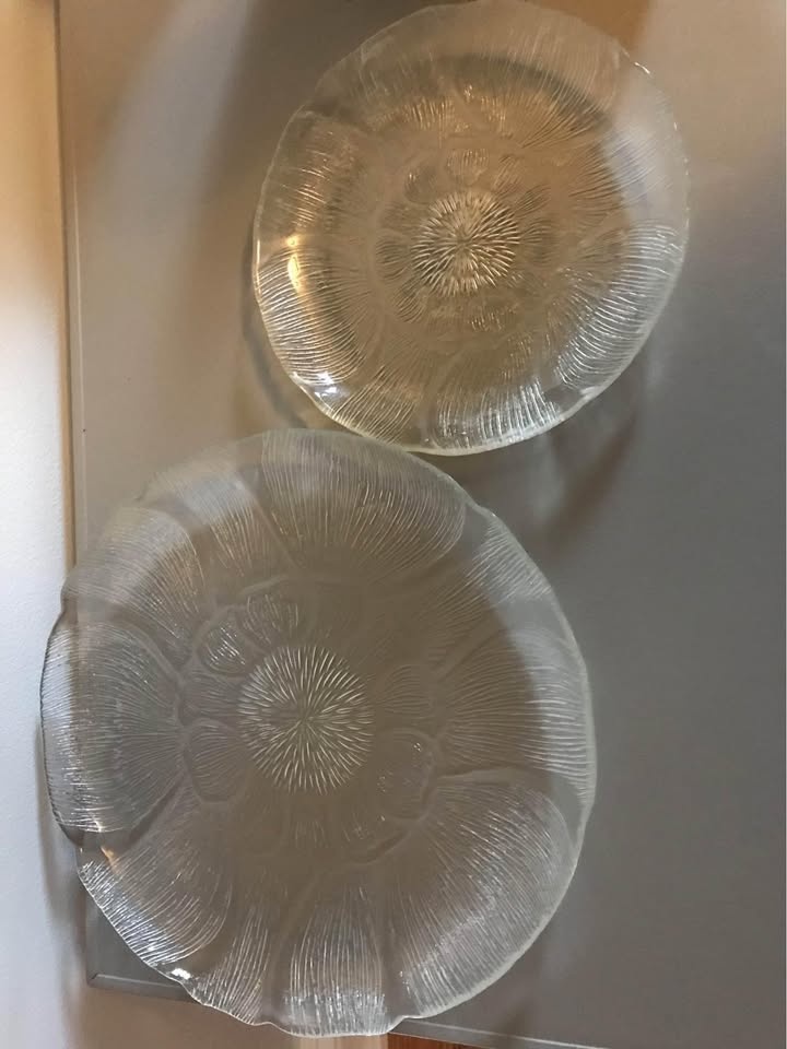 Glass plates $5 for both - photo 2