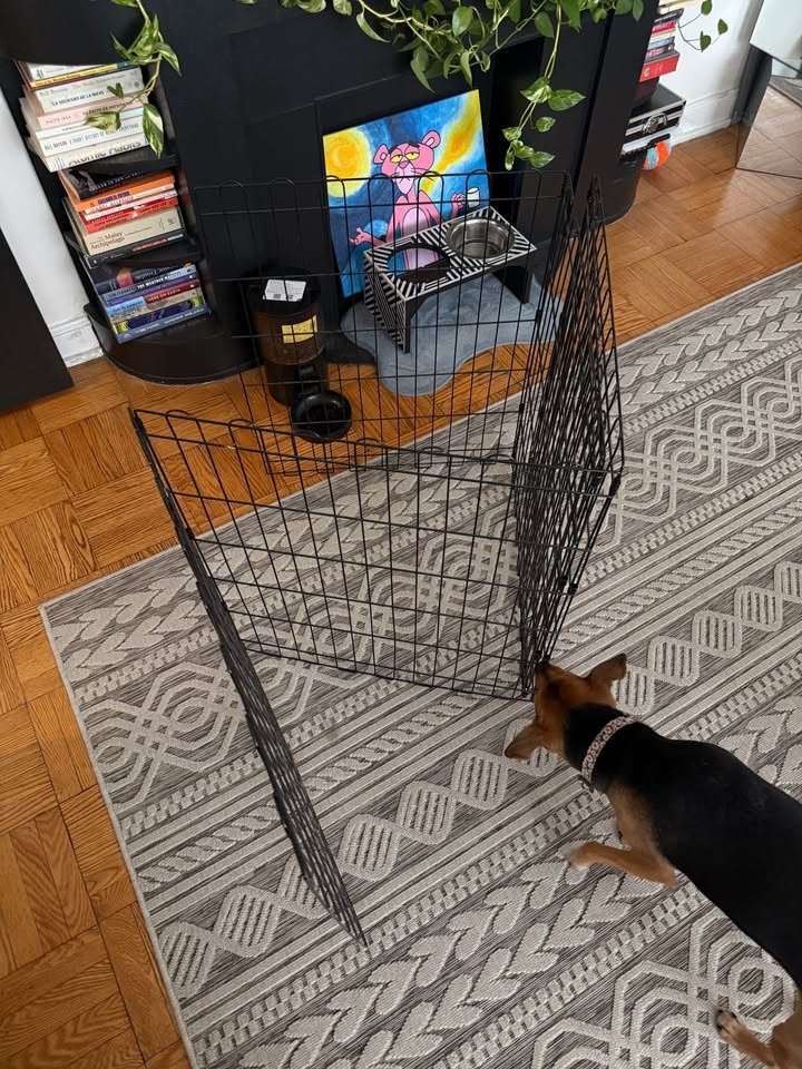 Foldable Metal Pet Crate / Dog Crate Panel – Like New - photo 2