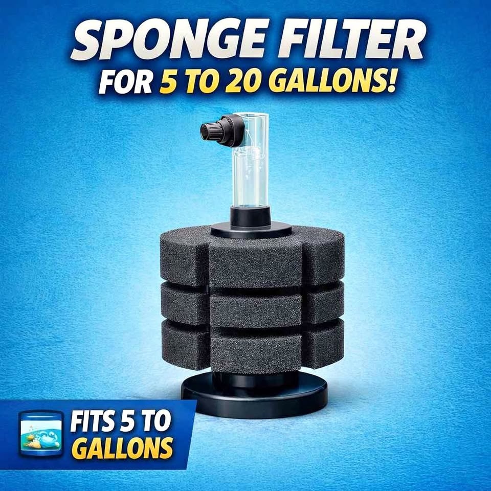Sponge filters
