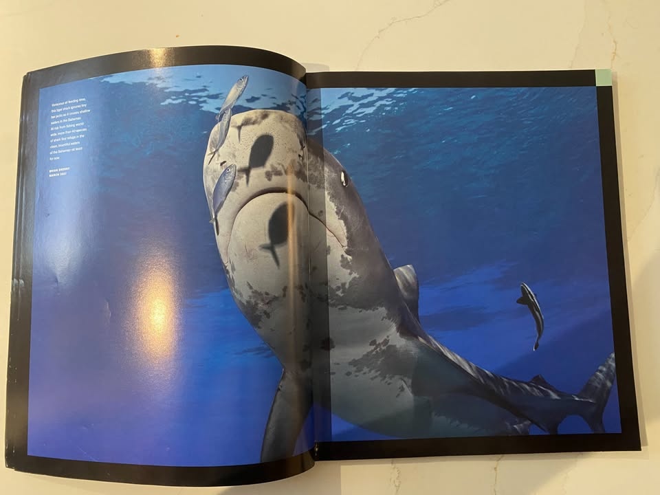 2007 National Geographic Collector's Edition Wildlife - photo 3