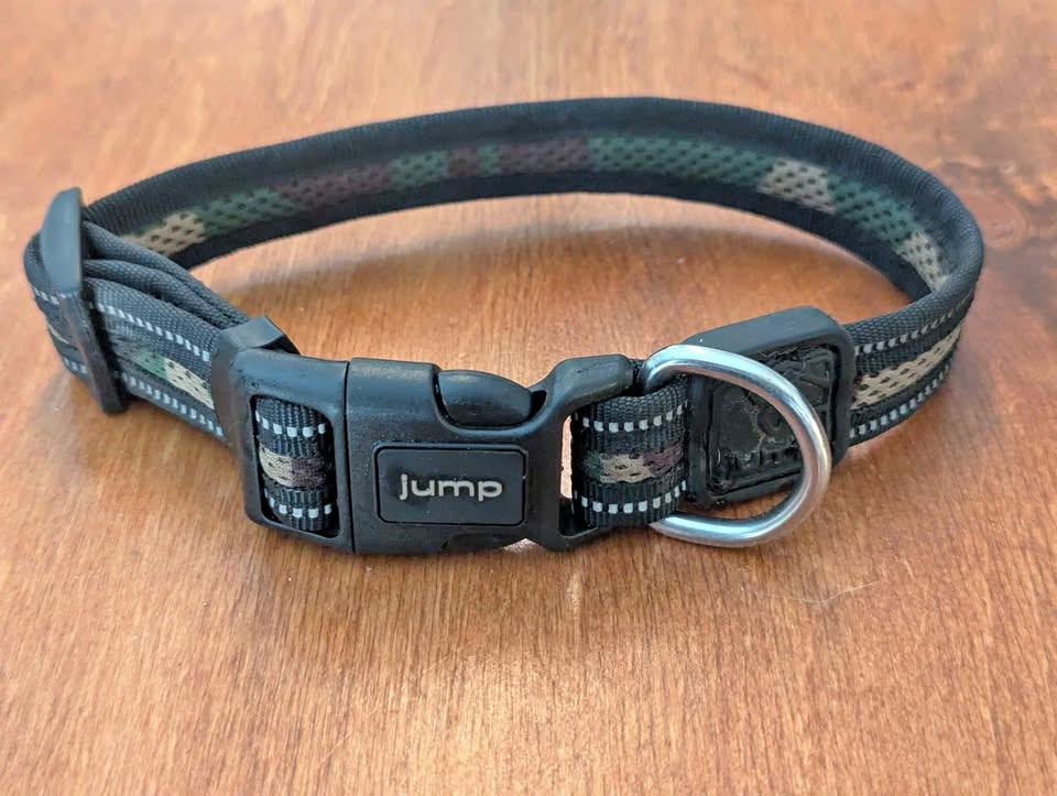 Jump Dog Collar Camo Reflective