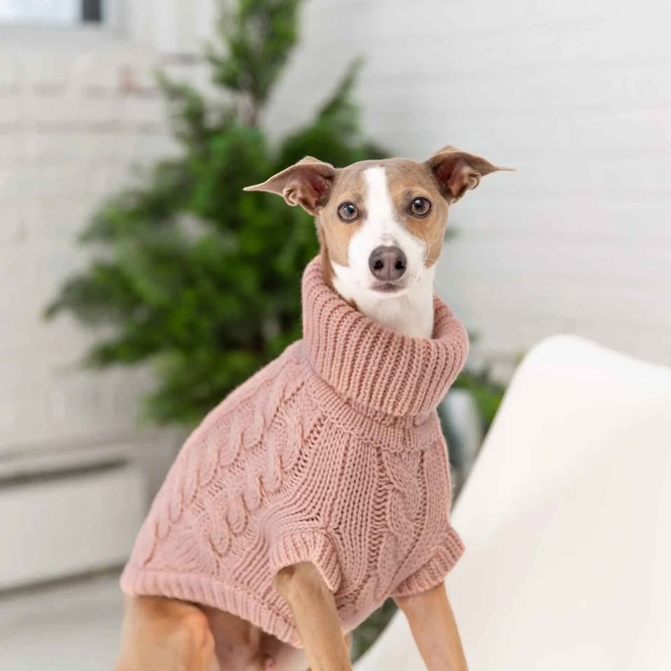 Large dog sweater (cable knit sweater pink)