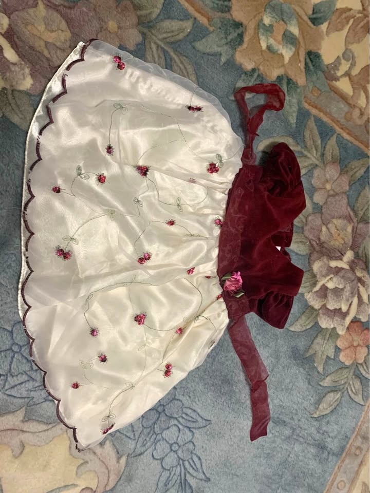 12-18 months velvet dress