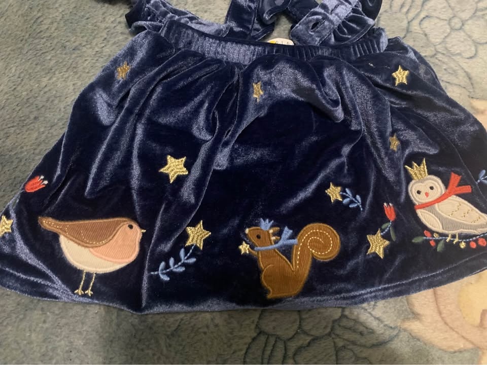 6-12 Month Velvet Overall Skirt with Embroidery - photo 2
