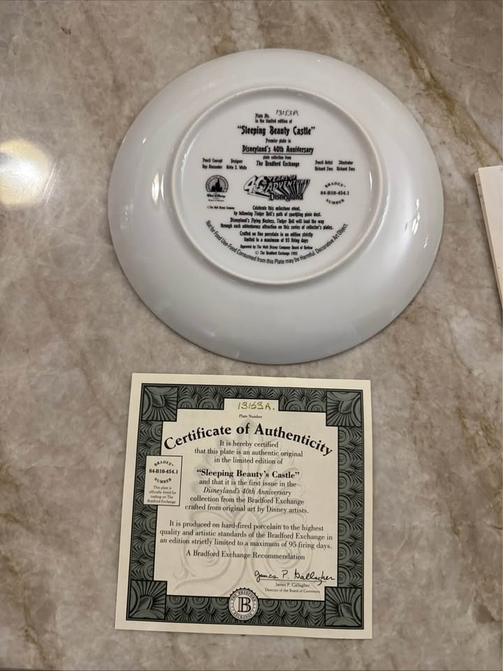 Disney Sleeping Beauty’s Castle Limited Edition Plate - photo 2