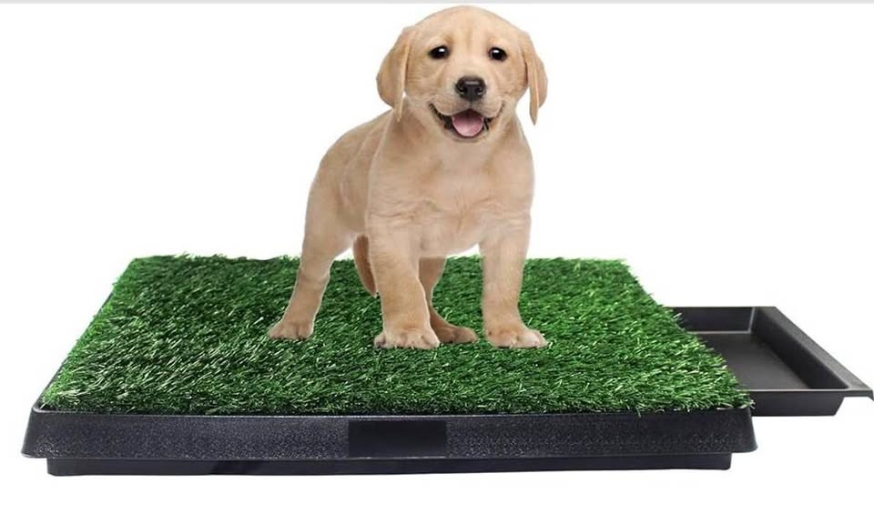 Portable Indoor/Outdoor Dog Potty Patch