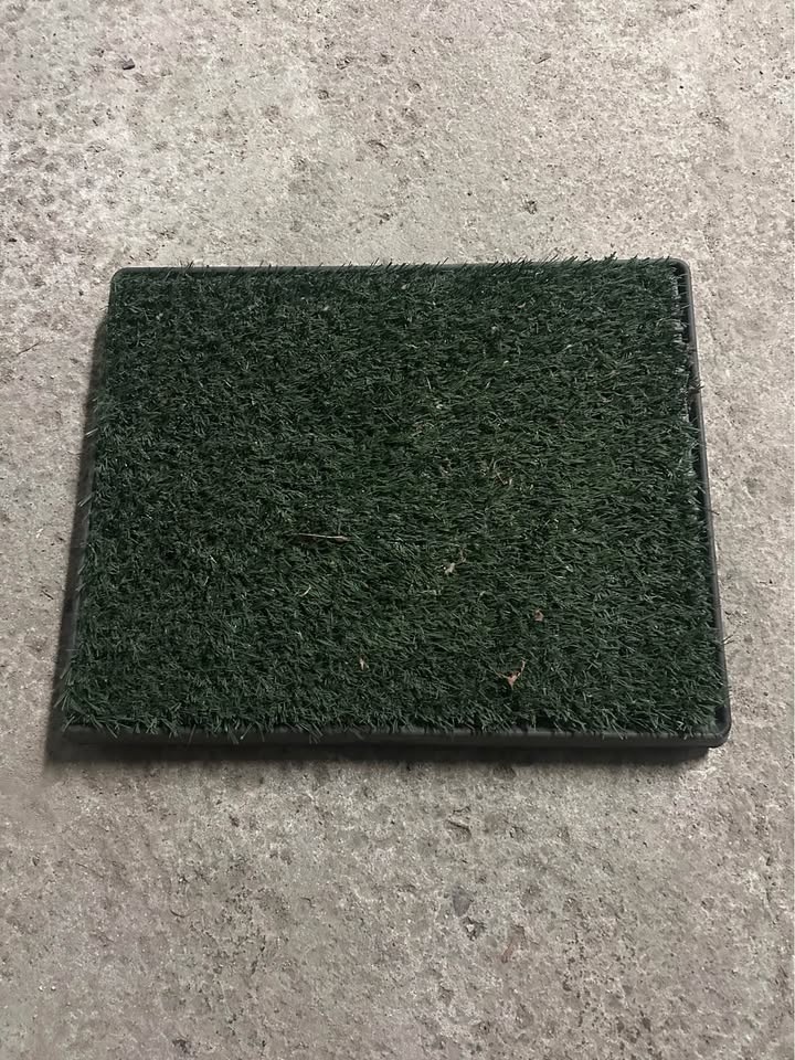 Portable Indoor/Outdoor Dog Potty Patch - photo 4