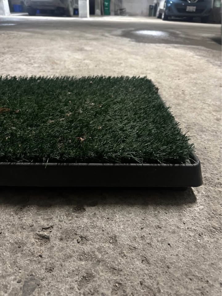Portable Indoor/Outdoor Dog Potty Patch - photo 5