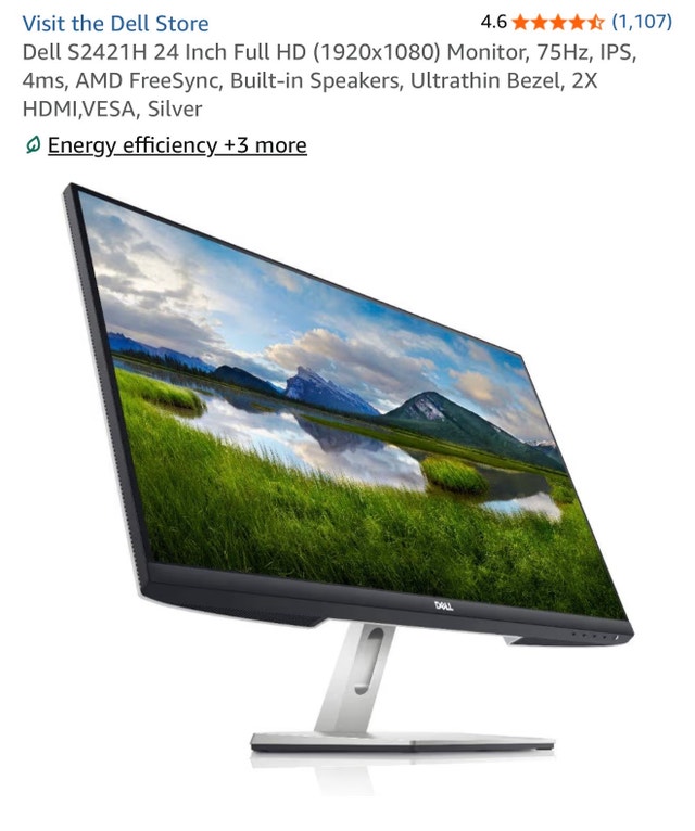 Dell 24 Monitor S2421H
