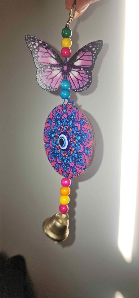 Multicolor butterfly with blue eye