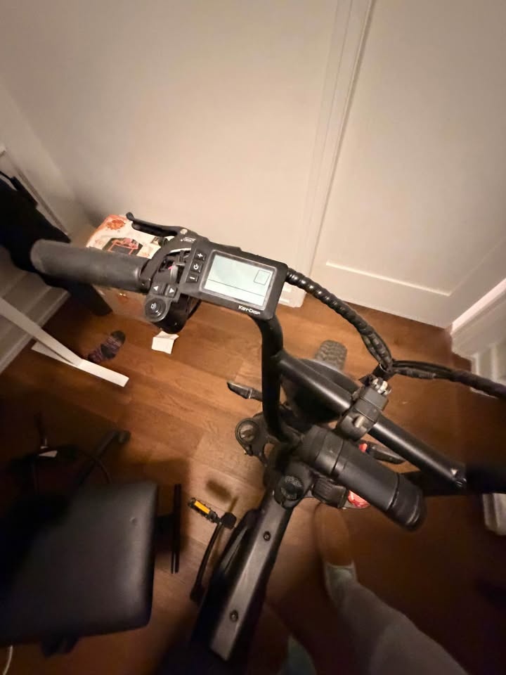 Fat Tire Electric Bike Shimano 7-Speed - photo 4