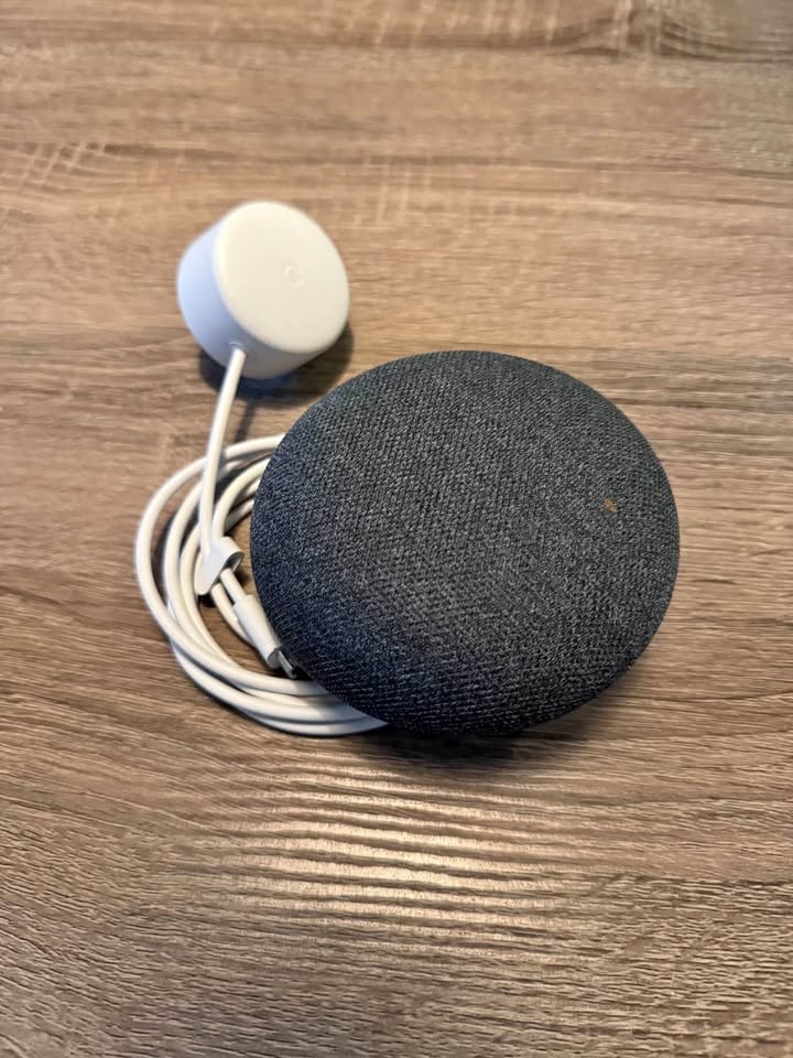 Google Home Nest Mini