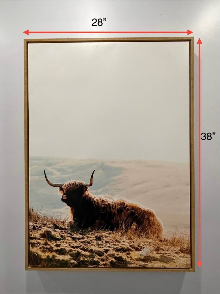Animal Wall Painting for Sale