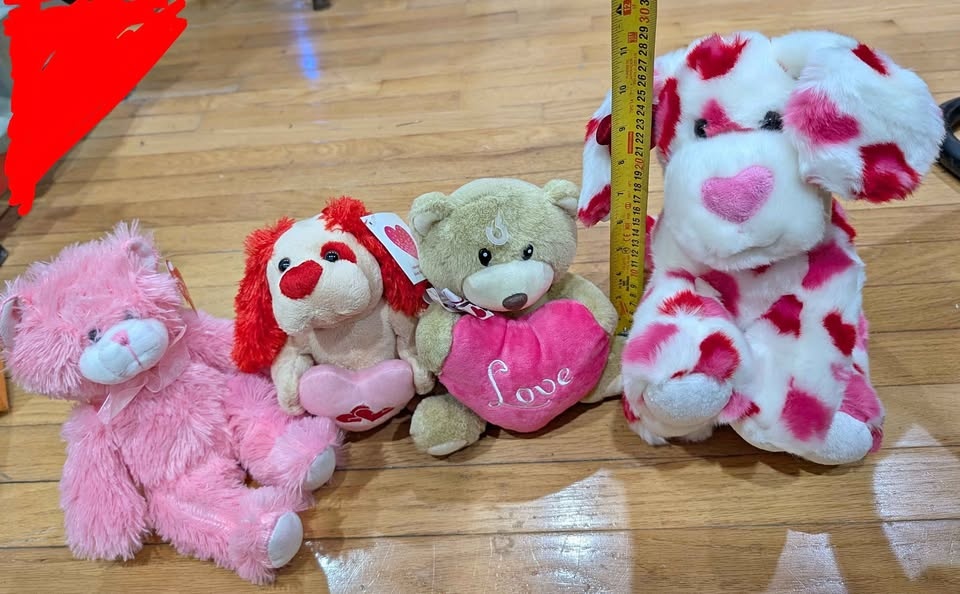 $5 for all Valentine's toys