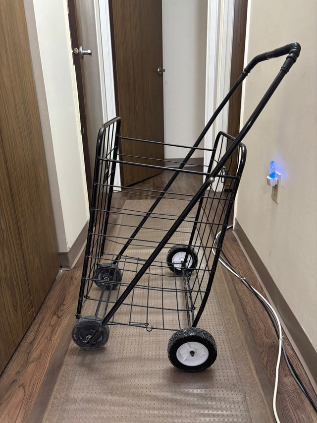 Easy Wheels Foldable Grocery/Laundry Cart