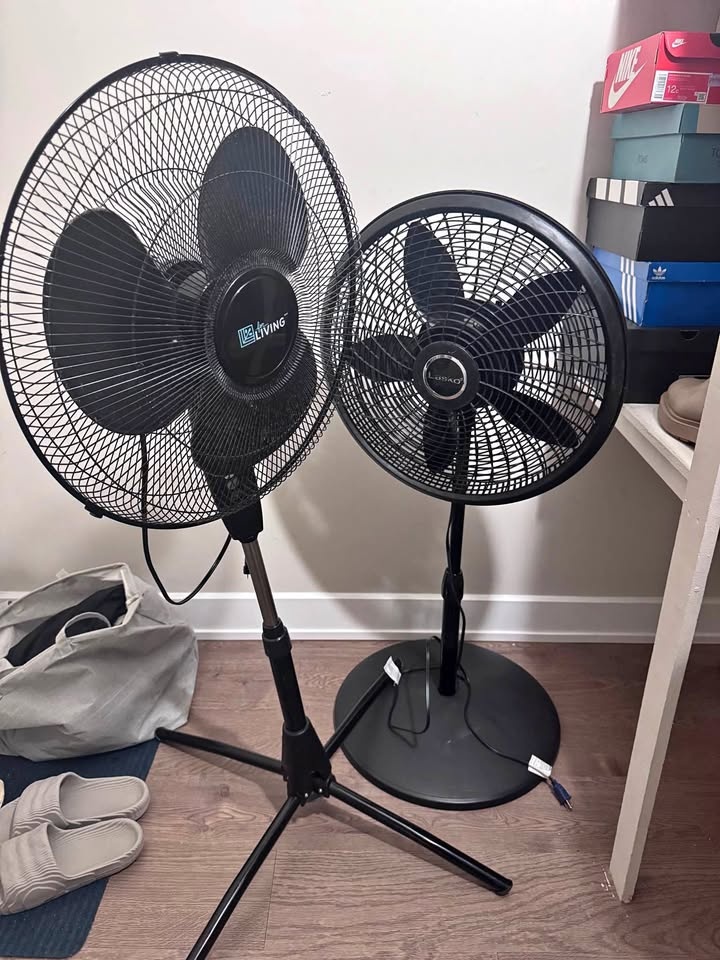 Set of 2 Pedestal Fans (Lasko & For Living) - Great Condition