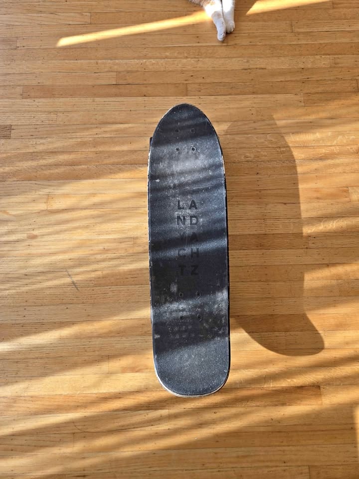 Landyachtz Dinghy Classic Emboss Owl Cruiser Skateboard 28.5"