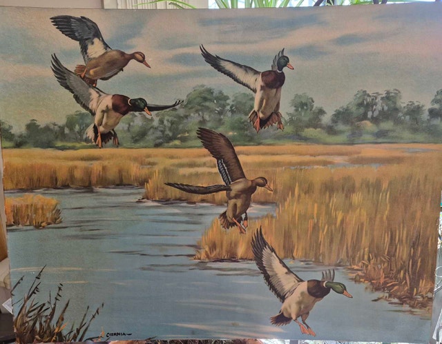 CERNIA Lithograph print Mallard ducks