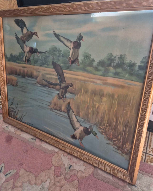 CERNIA Lithograph print Mallard ducks - photo 3