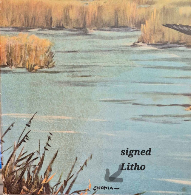 CERNIA Lithograph print Mallard ducks - photo 5