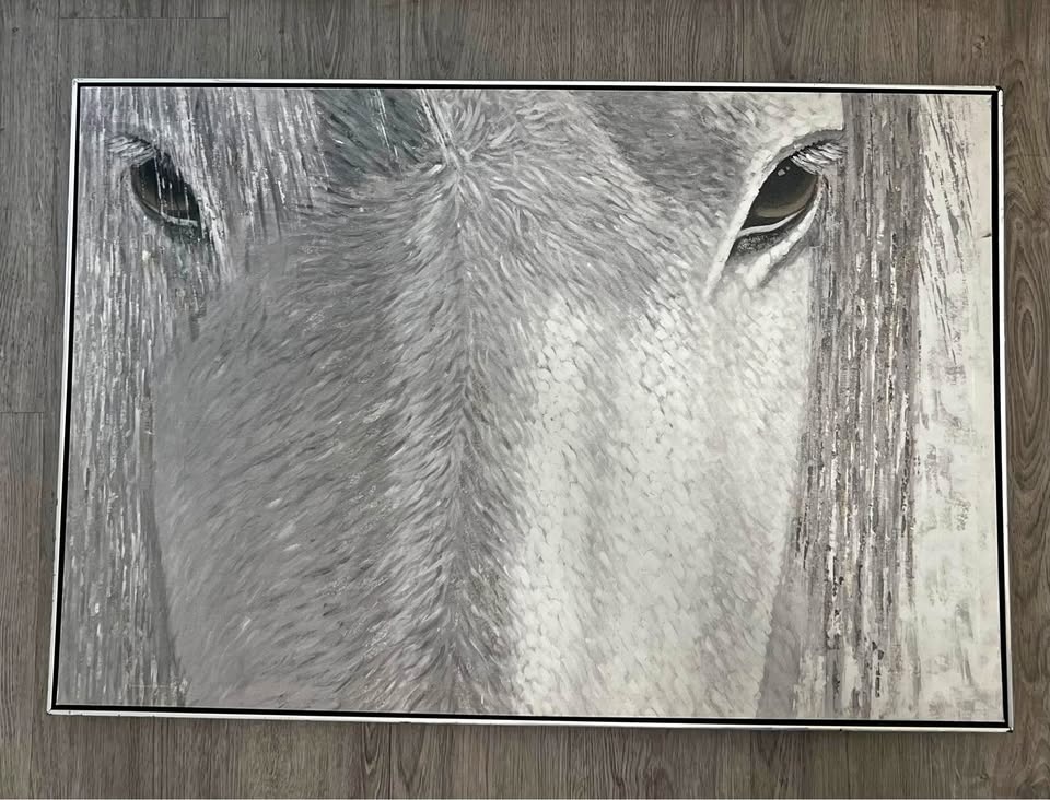 Horse Canvas