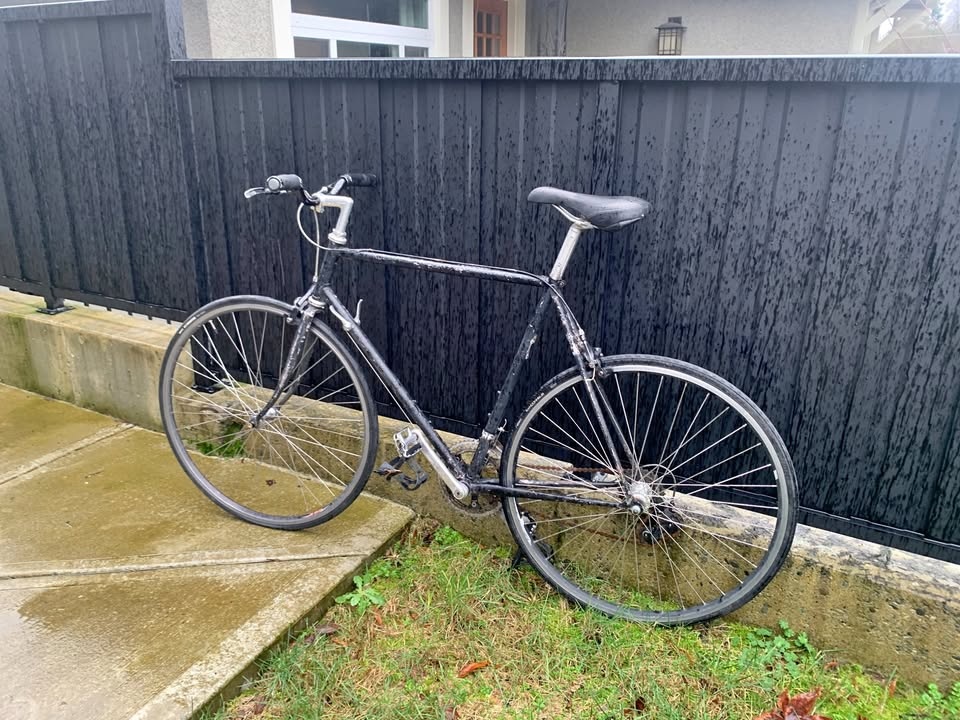 Vintage Panasonic Road Bike 22.5" (57cm)