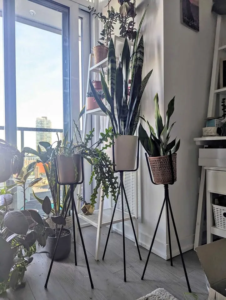 Plant Stands thumbnail