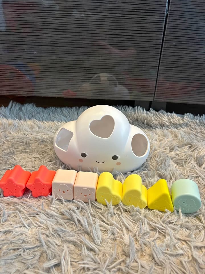 Skip Hop Cloud Shape Sorter
