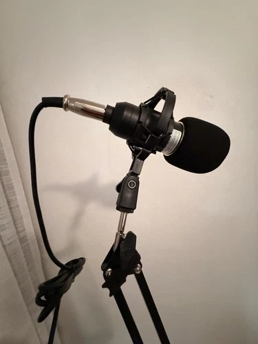 Microphone with Arms for Podcasting/Casting - photo 4