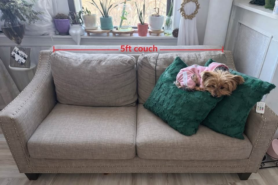 Used Couches for Sale – Great Condition - photo 3
