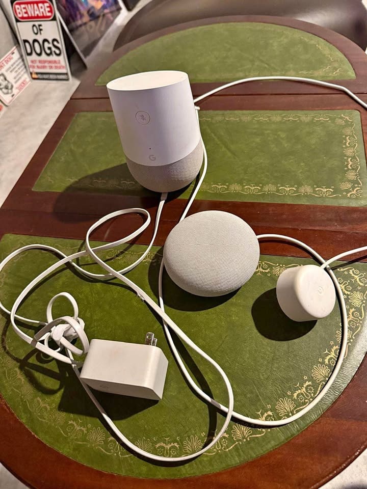 Google Home + Nest Mini Smart Speakers