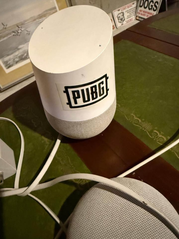 Google Home + Nest Mini Smart Speakers - photo 2